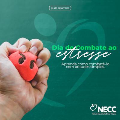 Saiba como combater o estresse com atitudes simples